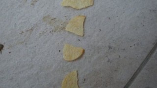 trabajo_12