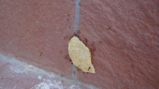 trabajo_15