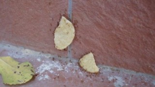 trabajo_16