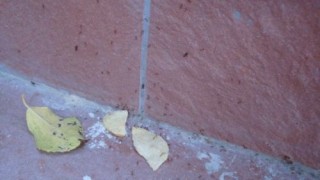 trabajo_17