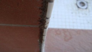 trabajo_18
